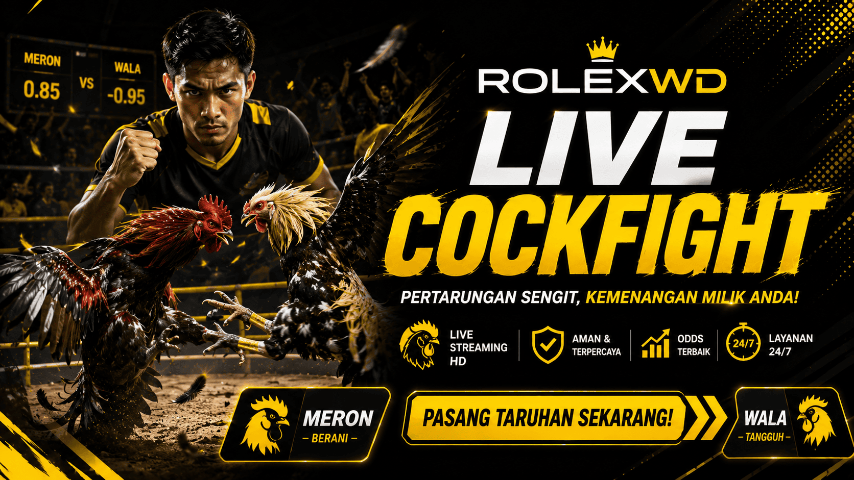 cockfight
